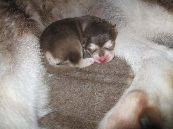 Y-Wurf 24.10.2014 009